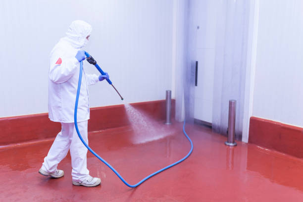 Best Building Exterior Pressure Washing in Desloge, MO
